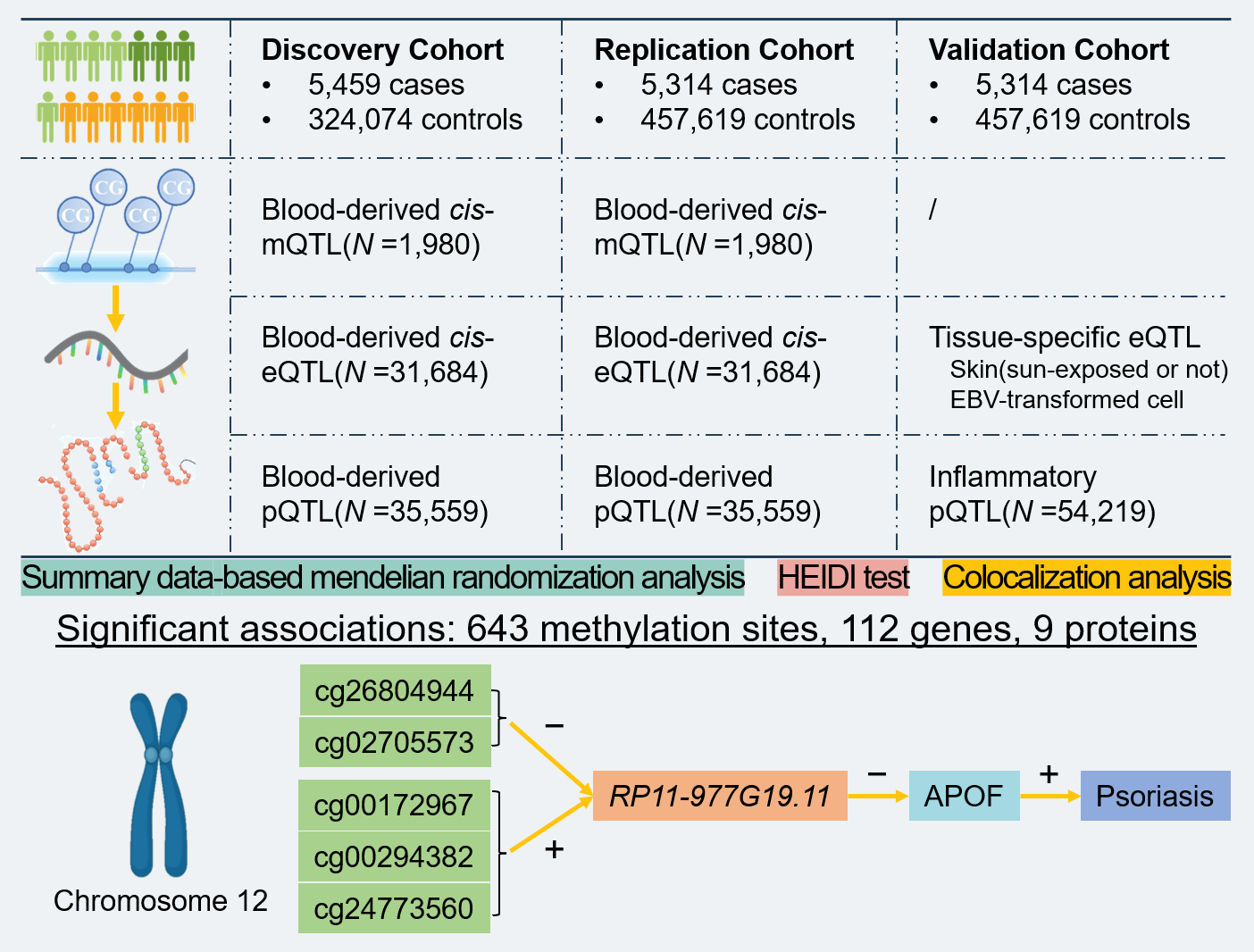 Multi-omics analysis reveals novel causal pathways in psoriasis pathogenesis