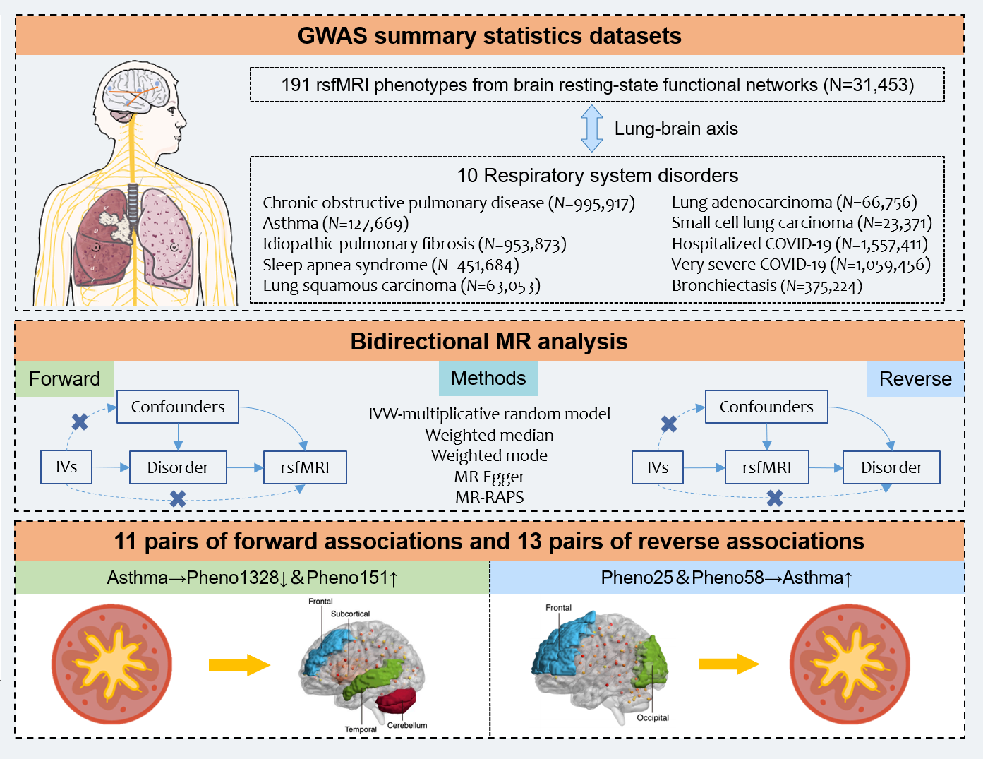 Mapping the lung-brain axis: Causal relationships between brain network connectivity and respiratory disorders